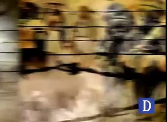 Army launches operation along Pak-Afghan border in Khyber Agency