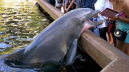 Voici une compilation des plus grands fails de la 2eme semaine de ce mois d’août !