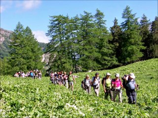 Photos randos de 2004 à 2016