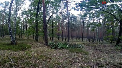 Super Zombie Scare Prank Compilation 2015