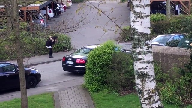 Не злите белок. Смешные приколы белки