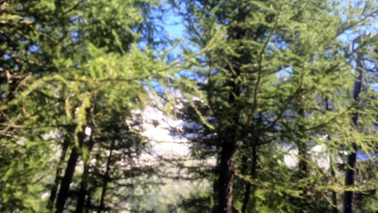 Train du Montenvers, aOût 2016