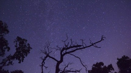 Fotoğrafçı Alper Tüydeş Meteor Yağmurunu Görüntüledi