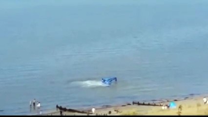 Un avion se crashe et des baigneurs portent secours au pilote
