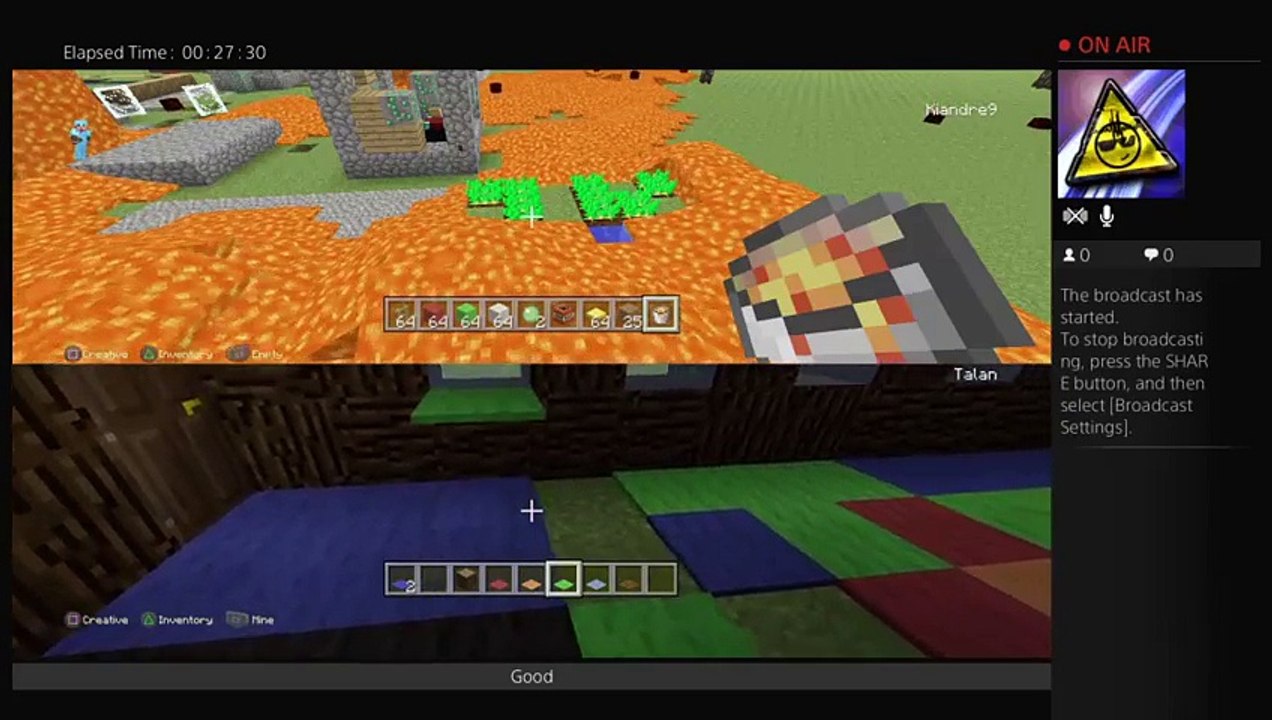 Playing minecraft (14)