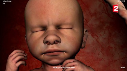 Nos bébés ont une histoire : extrait 1