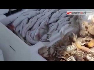 TGSRVago16 nuovo fermo pesca