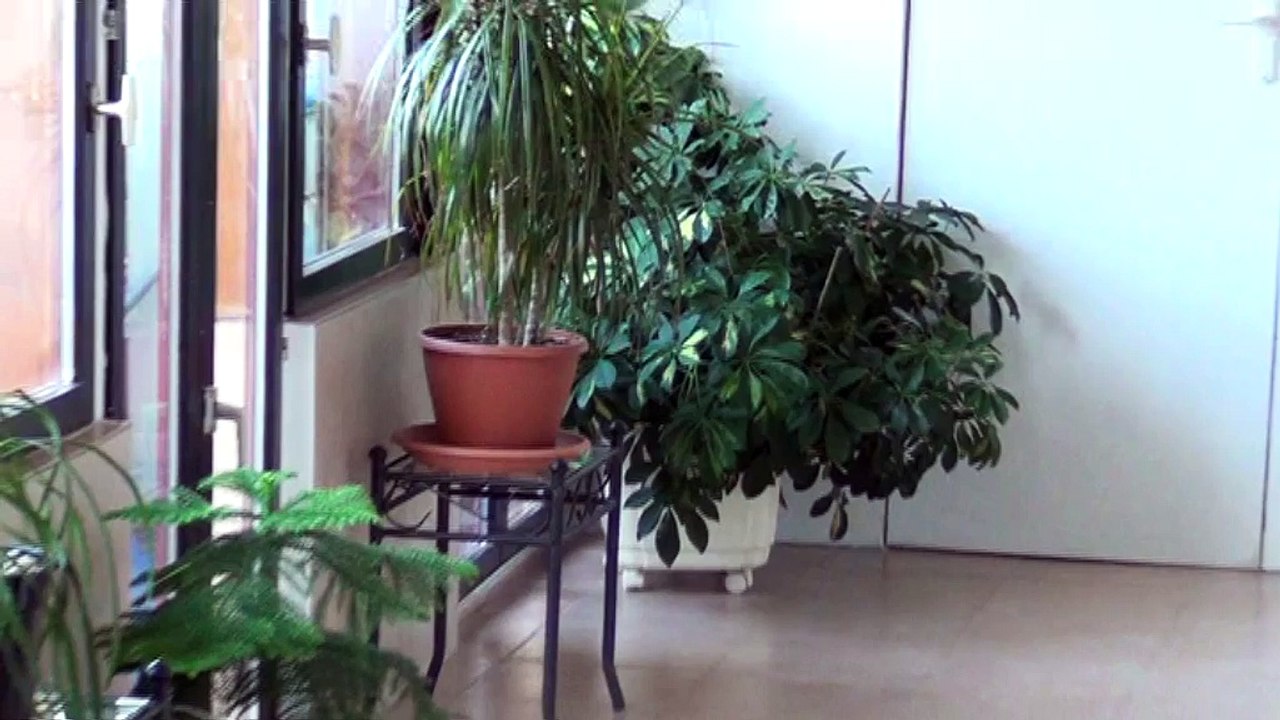 Genlis Maison 133m2 - Agence CARREZ Immobilier