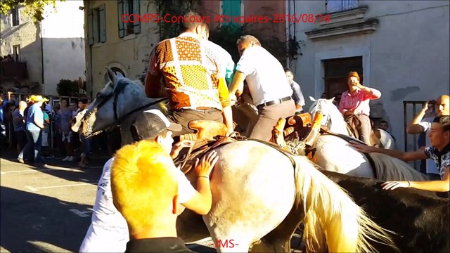 COMPS-Concours Attrapaires-2016-08-14