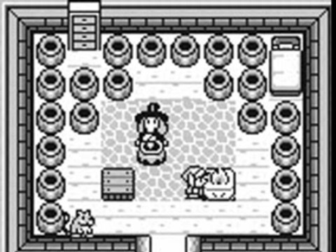 Legend of zelda link awakening vidéo 2