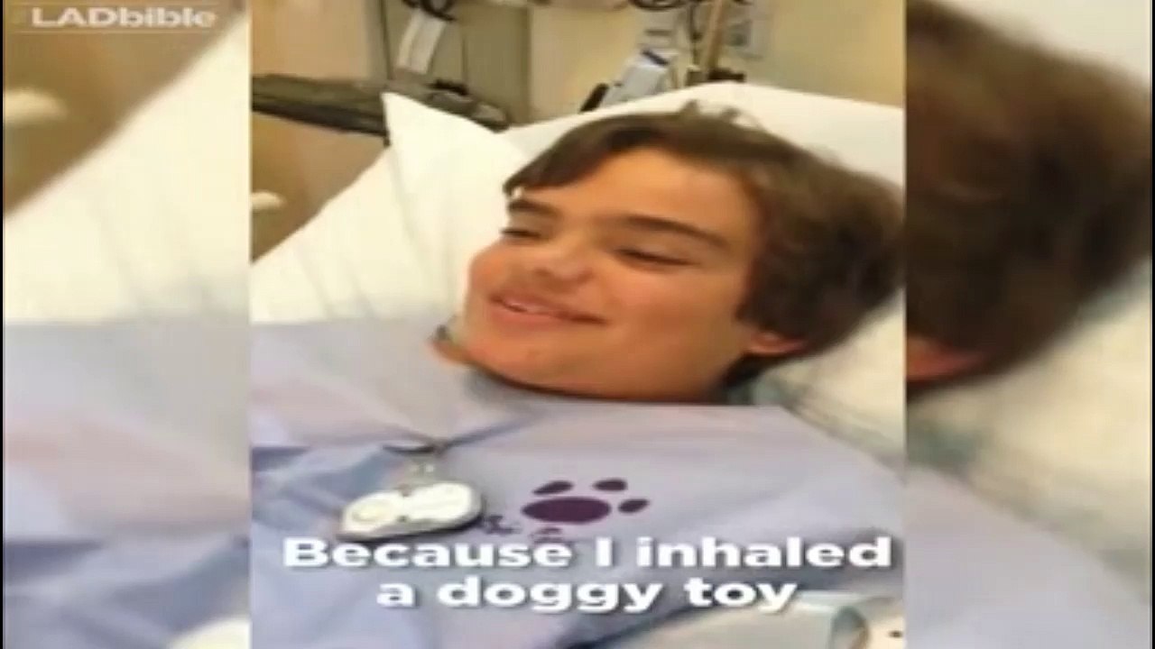 Aux urgences après avoir ingéré le jouet du chien, il couine quand il parle