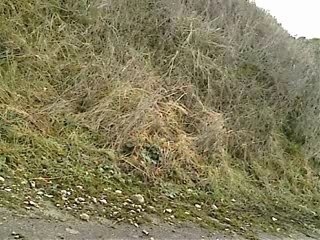 Pocketbike circuit