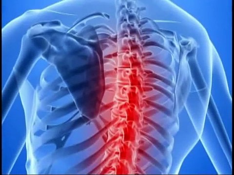 PILATES - EXERCÍCIOS PARA COLUNA