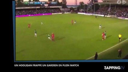 Football : Un hooligan pénètre sur un terrain pour frapper un gardien, la vidéo choc !
