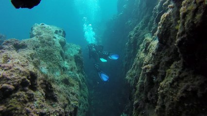 2016.08.16 - Buceo en Punta de la isleta (Isleta del Moro)