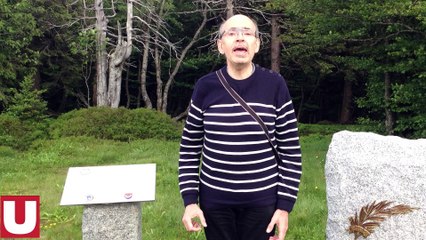 Guerre 14-18: A la mémoire de ces poilus d'Alaska à quatre pattes