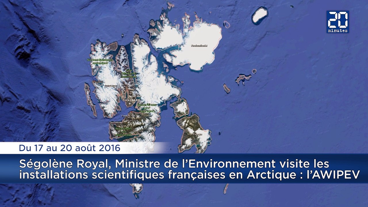 Ségolène Royal visite l'archipel arctique du Svalbard : Les mammifères qu'elle risque de croiser