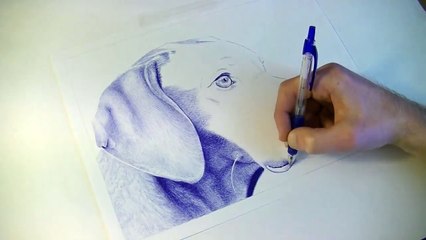 TIMELAPSE How to draw a dog Ballpoint