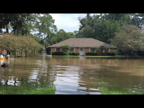 Dog Swims Home Through Flood