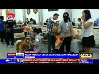 48 Trah Anjing Ikuti Adu Ketangkasan