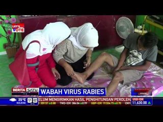 13 Warga Padang Terjangkit Virus Rabies