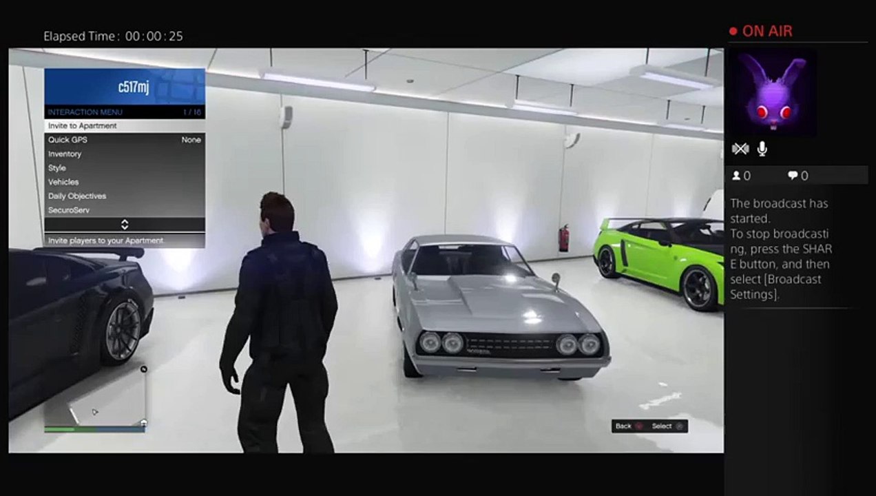 Gta5 (27)
