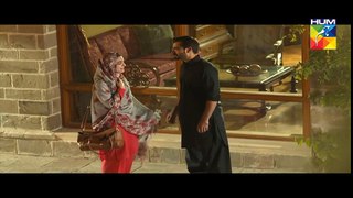 Mann Mayal Episode 30 HD Full Hum TV Drama 15 Aug 2016