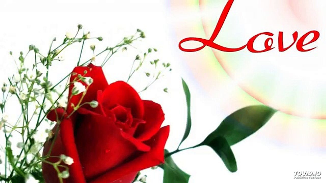 Ehsan Sehgal Prose Poem-Flower Of Love