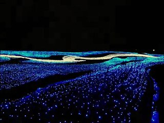 星屑のブルース　石原裕次郎　Cover