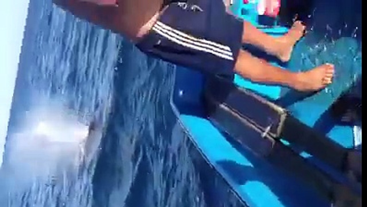 peche baleine oran algérie