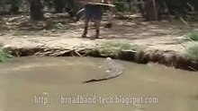 Attacked By Crocodile