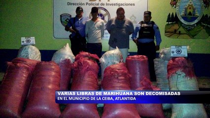 Download Video: Decomisan varias libras de marihuana