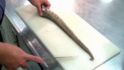 Processing Octopus Japanese way