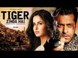 Salman Khan & Katrina Kaif Together Again In Ek Tha Tiger Sequel 'Tiger Zinda Hain'