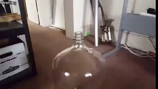 The coolest thing you'll see today...