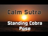 Calm Sutra - Standing Cobra Pose
