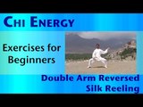 Chi Energy - Exercises For Beginners - Double Arm Reversed Silk Reeling