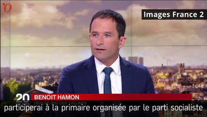 Primaire : Benoît Hamon, challenger officiel (de François Hollande)