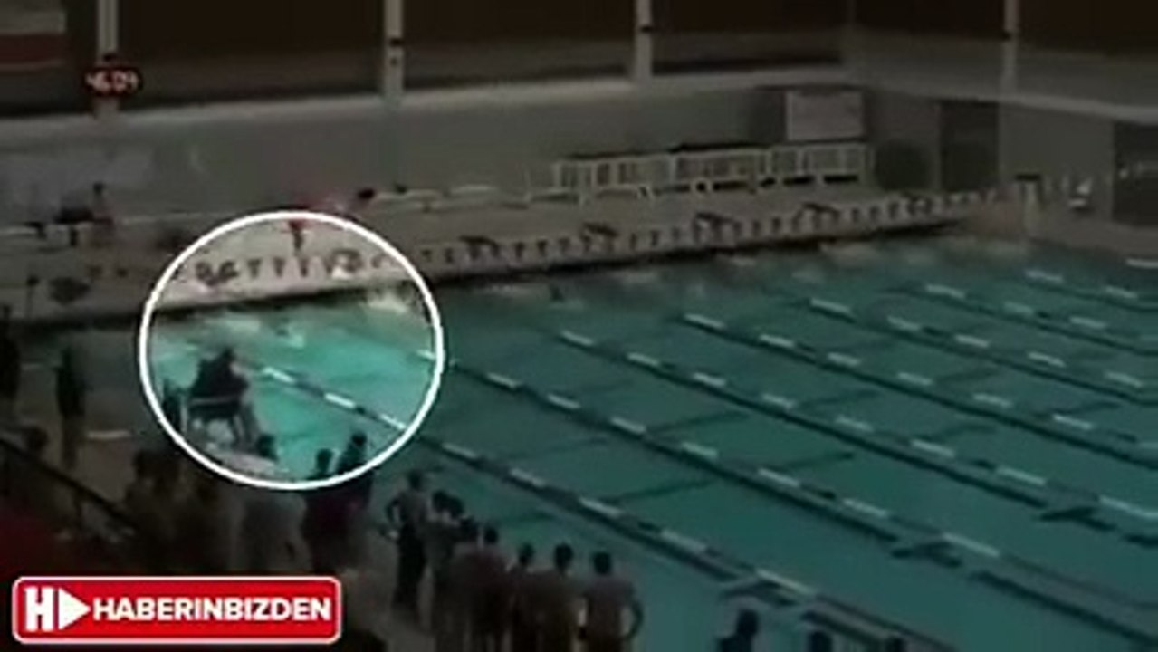 amazing dolphin man