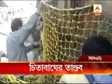 siliguri mamata tiger pkg 2801 Youtube Format