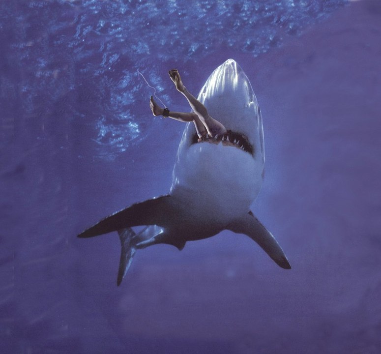 Huge Shark Attacks on Man (Really Scary)
