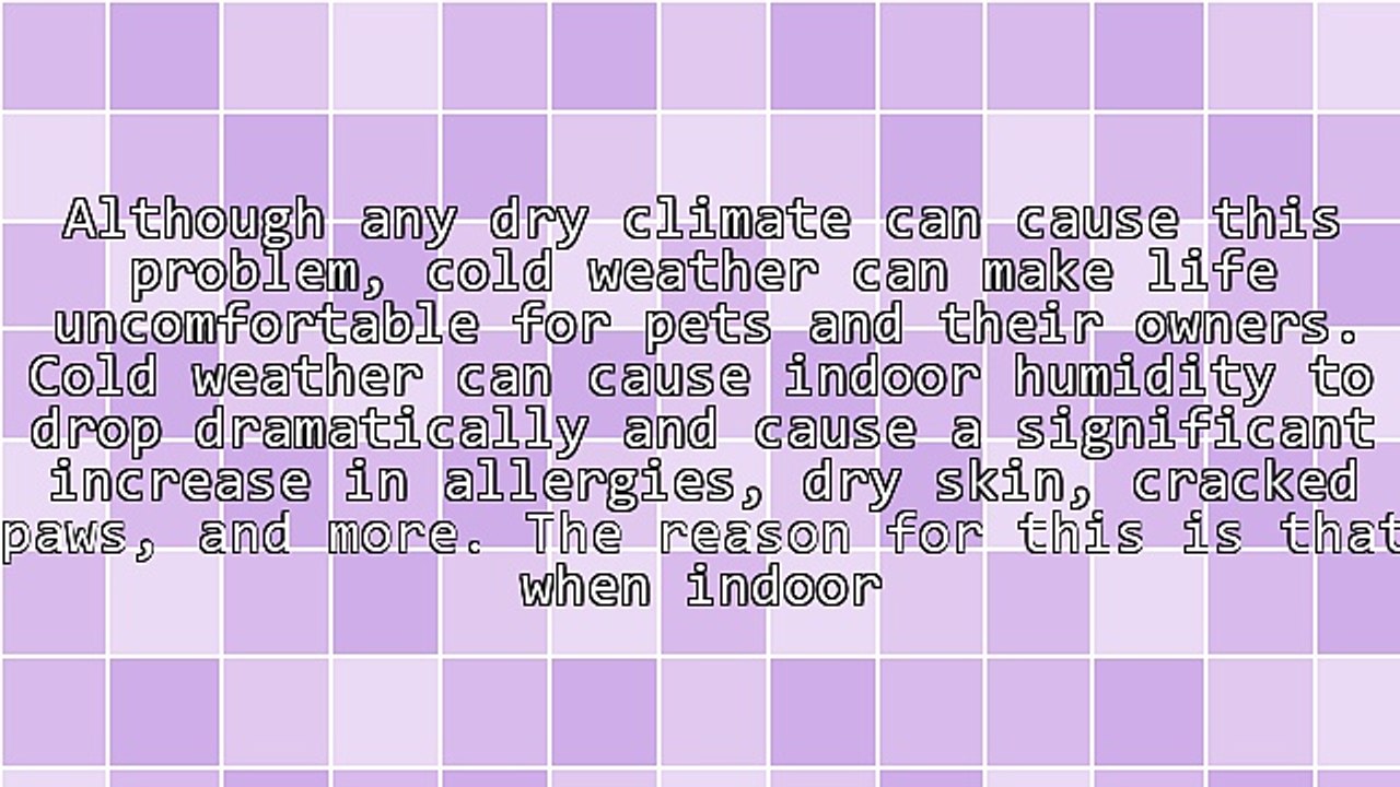 Pet Allergies: Solving The Riddle in 3 Easy Steps