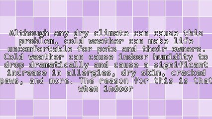 Pet Allergies: Solving The Riddle in 3 Easy Steps