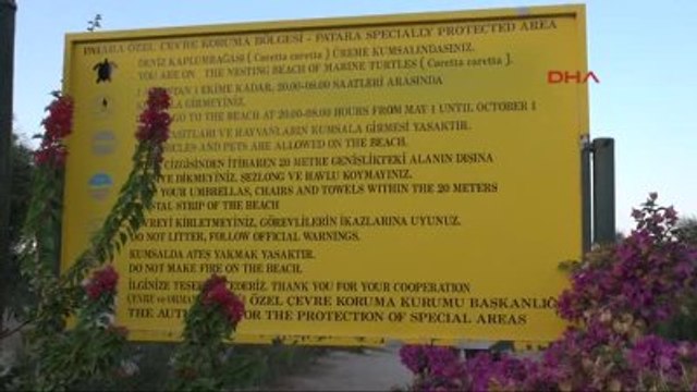 Kaş Patara Plajı'nda Caretta Caretta Yavruları Akdeniz'le Buluşuyor