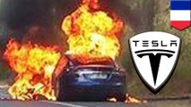 Tesla Model S bursts into flames during test drive event in France - TomoNews