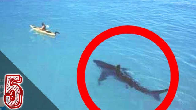 Top 5 Spiagge Piu' Pericolose Al Mondo e in Italia