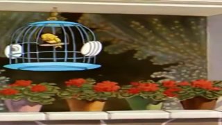 Tom And Jerry -The Flying Cat HD - Tom And Jerry Episode