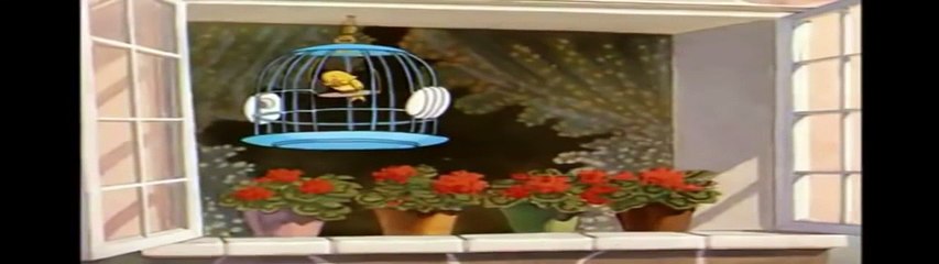 Tom And Jerry -The Flying Cat HD - Tom And Jerry Episode