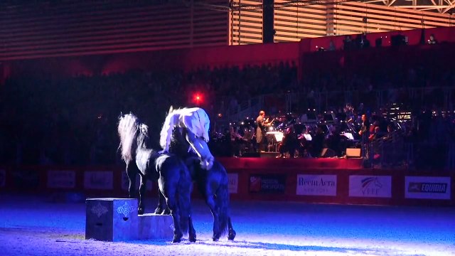 Il commence son show avec un étalon. Quand deux autres le rejoignent dans l'enceinte, le spectacle devient féérique. Wow