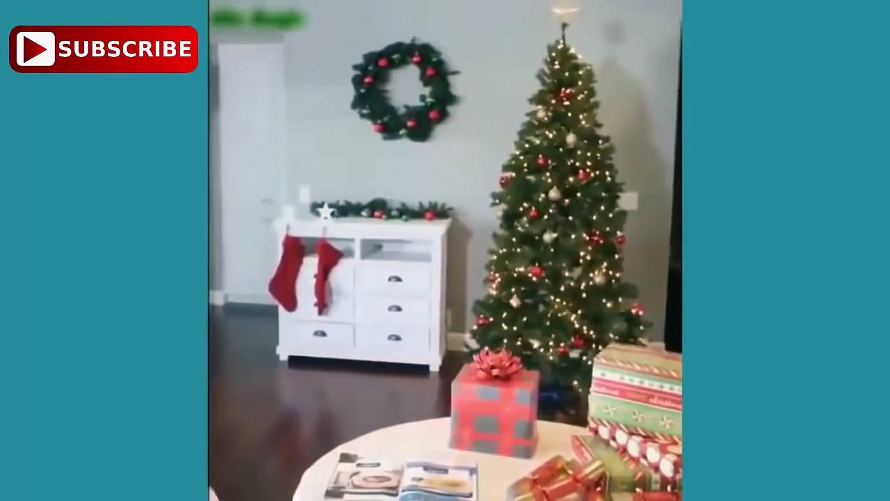 Funny videos try not to laugh challenge
